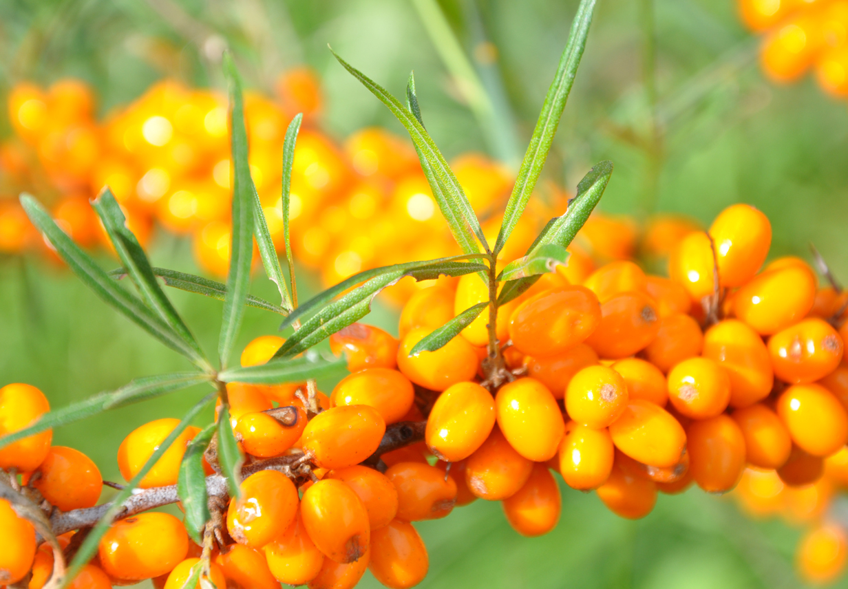 Beauty.at Das OnlineMagazin für Beauty Gourmets und Genussverliebte