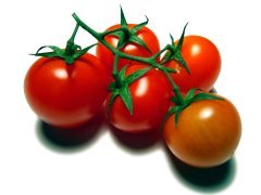 Tomaten haben gesundheitsförderndes Potential