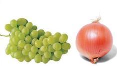 Zwiebel und Trauben Zwiebel und Trauben