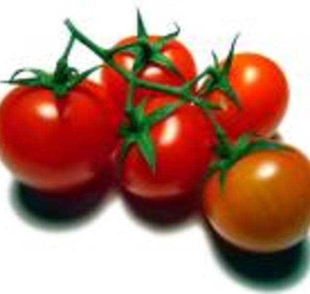Köstlich und gesund - Tomaten