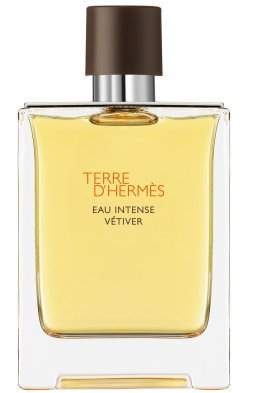 Terre d'Hermès Eau Intense Vetiver