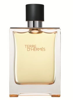 Terre d'Hermes Eau de Toilette