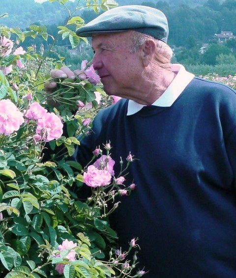 Joseph Mul auf den Rosenfeldern in Grasse