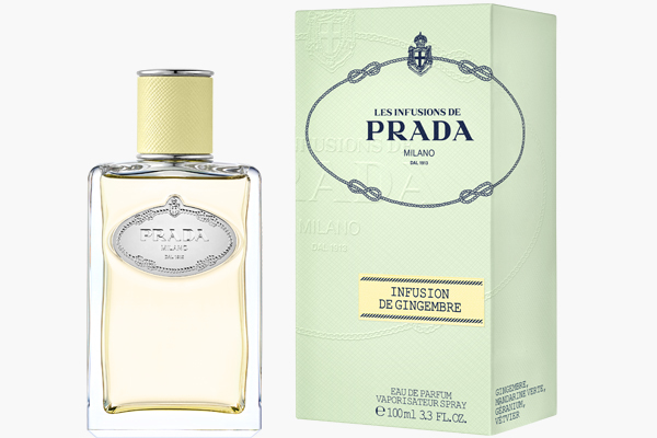 Prada Infusion de Gingembre