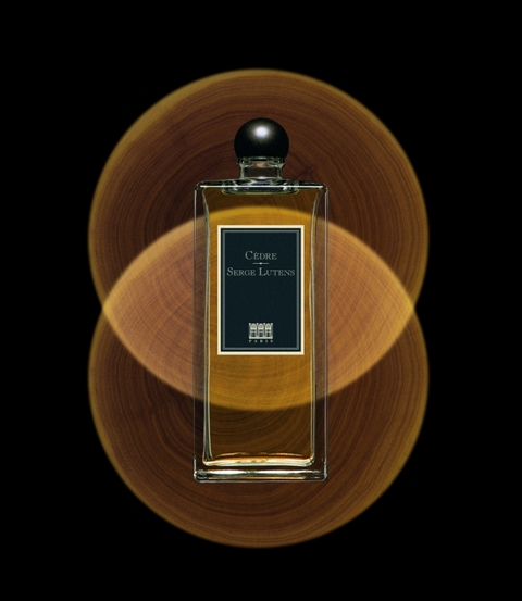 Cèdre Parfum Serge Lutens