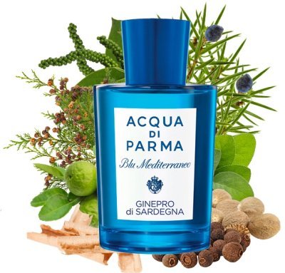 Ginepro di Sardegna Ginepro di Sardegna