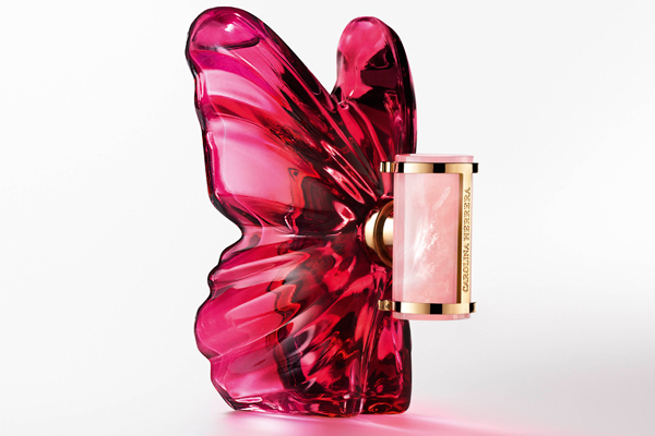 Der Schmetterling ist ein Symbol für Verwandlung, Anziehung zum Licht und der Freiheit in der Bewegung Der Schmetterling ist ein Symbol für Verwandlung, Anziehung zum Licht und der Freiheit in der Bewegung