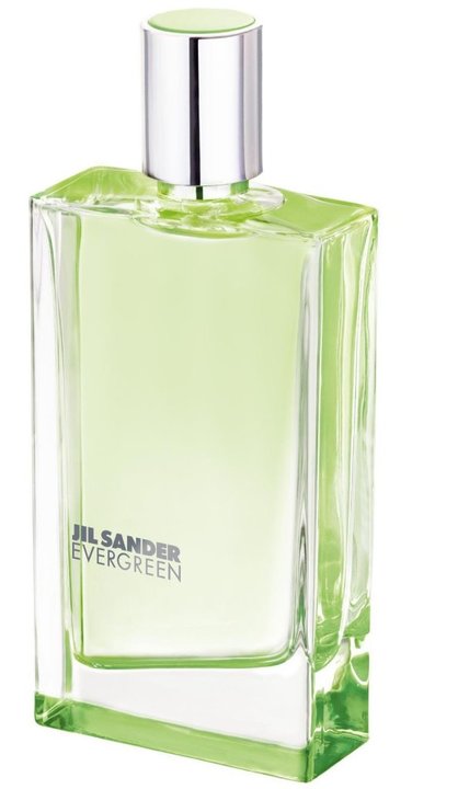 Jil Sander Evergreen Jil Sander Evergreen