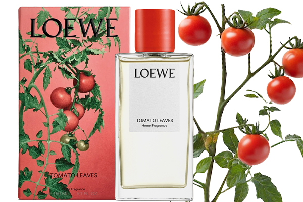 Tomate Leaves Candle - der Duft frischer Tomatenblätter