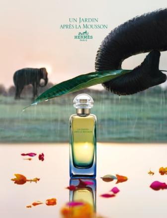 Hermès - Un Jardin apres la mousson Hermès - Un Jardin apres la mousson