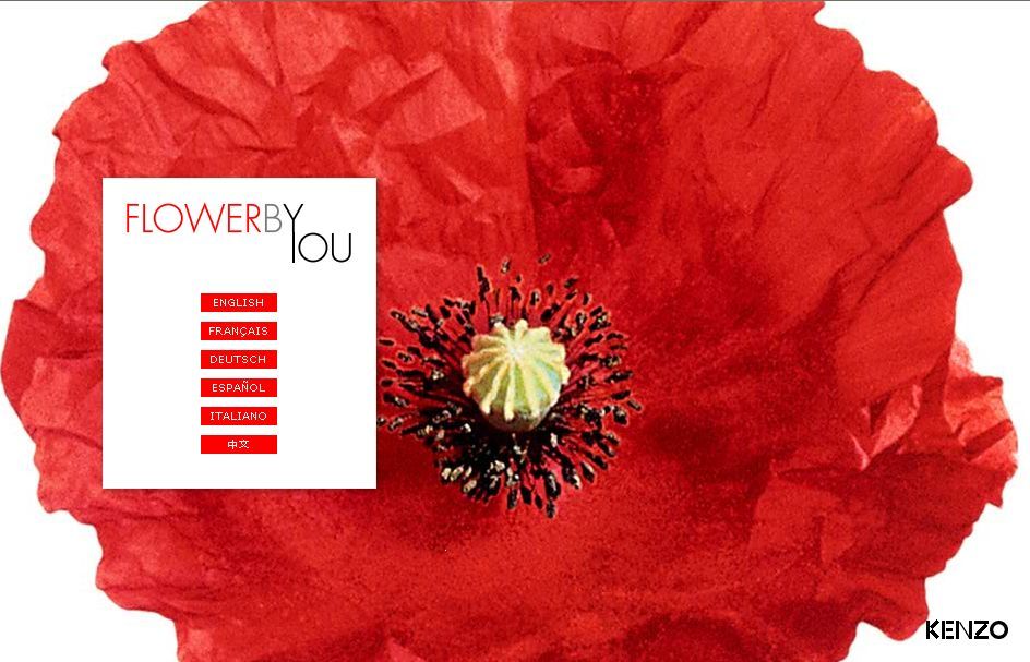 FLOWERBYYOU FLOWERBYYOU