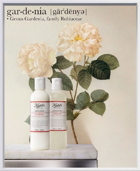 Kiehl's Gardenie Linie Kiehl's Gardenie Linie