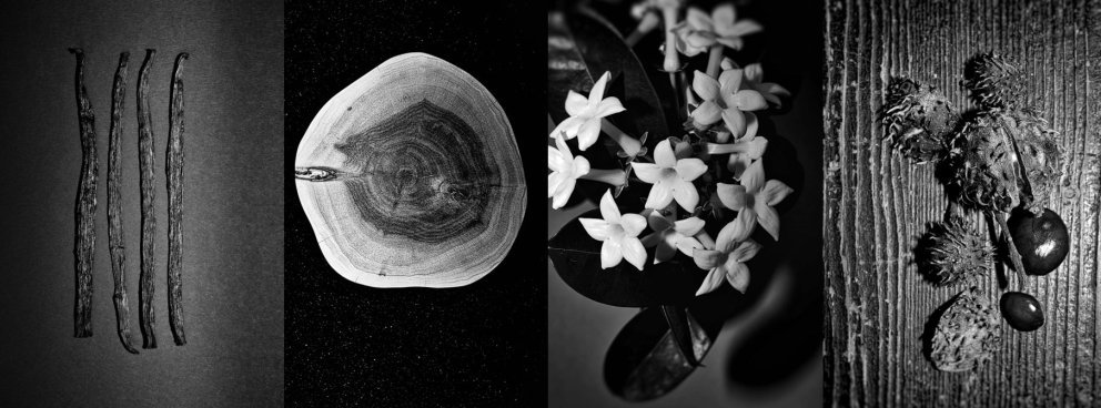 This is Her - Ingredients This is Her - Ingredients