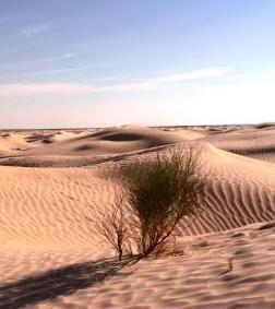 Sahara bei Touzeur Sahara bei Touzeur