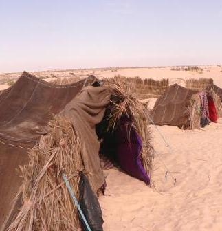 Wüstencamp Wüstencamp