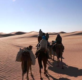 Kameltrekk in der Sahara Kameltrekk in der Sahara