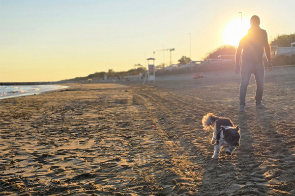 Ein Strandspaziergang ist Balsam für die Seele