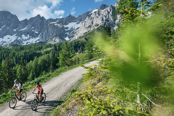 Im Longevity Retreat der Chalets Coburg wird Longevity erlebbar gemacht