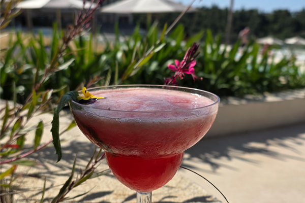 Die besten Cocktails gibt es an der Bar des APIRO SEA & SKY Restaurant Die besten Cocktails gibt es an der Bar des APIRO SEA & SKY Restaurant