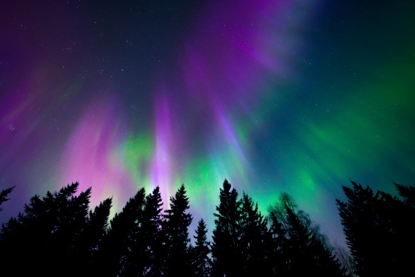 Wenn am skandinavischen Nachthimmel bunte Lichter tanzen, sind die Polarlichter los