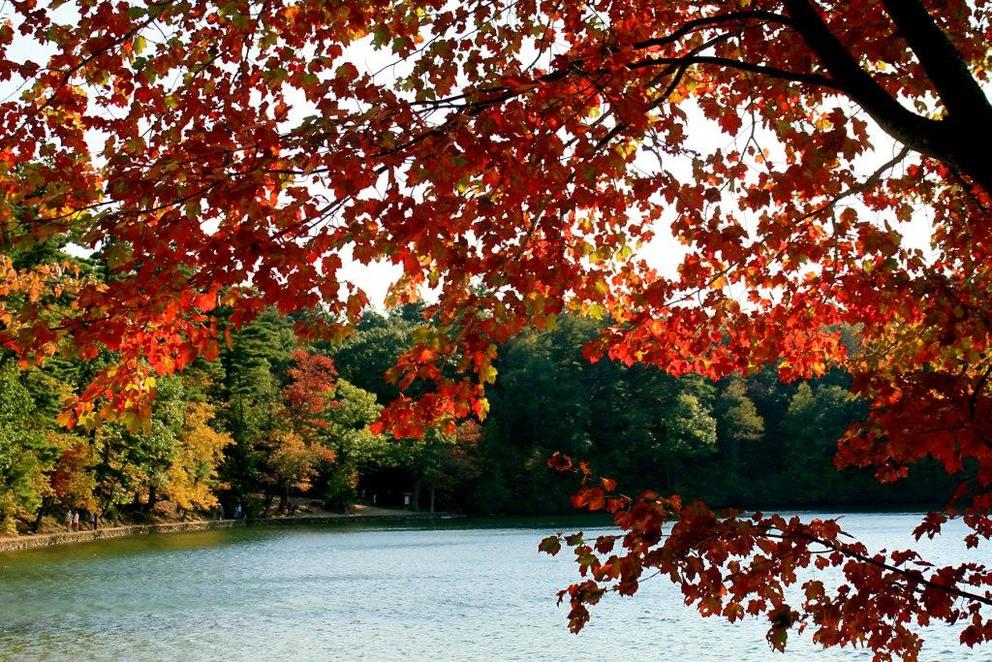 Indian Summer in New England Indian Summer in New England