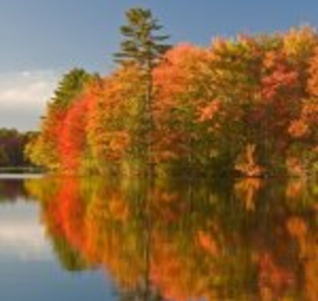 Indian Summer in Maine