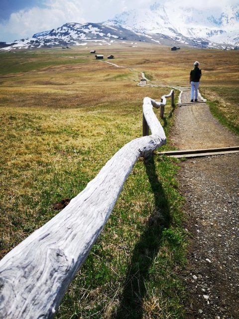 Seiseralm Südtirol Seiseralm Südtirol