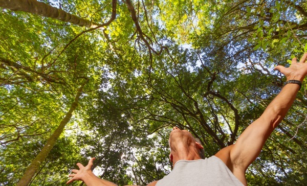 Nationalpark Garajonay - La Gomera