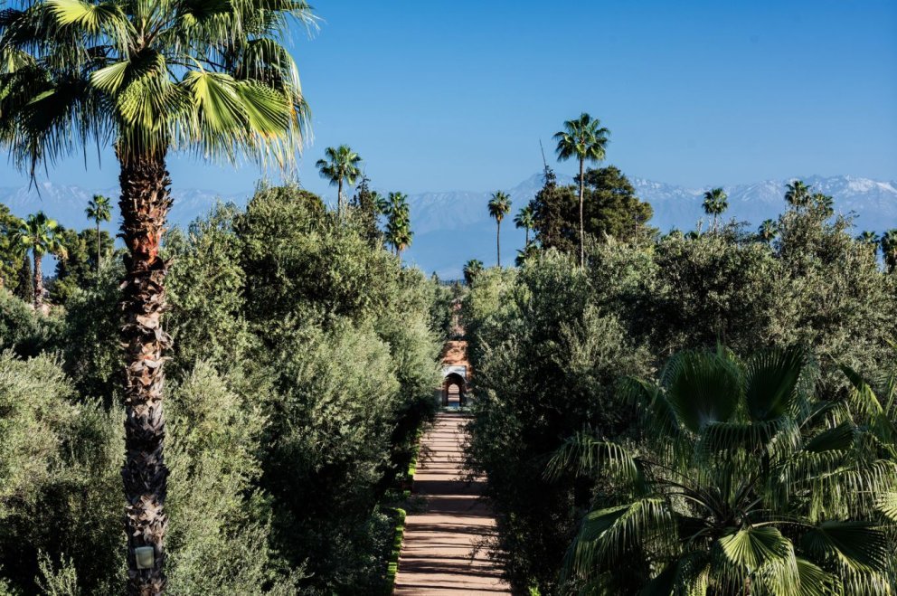 Die prächtigen Gärten von La Mamounia laden  zum Spaziergang ein