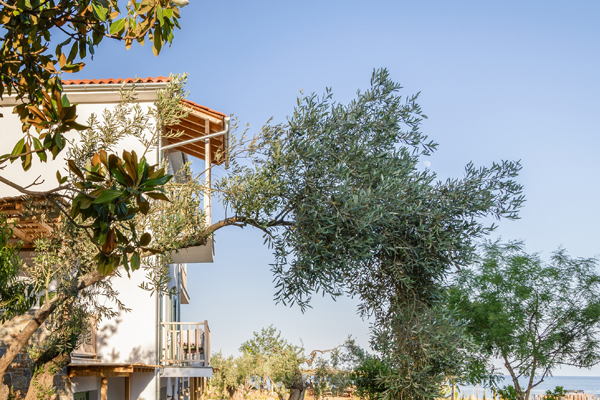 Peli Kastri Guesthouse direkt am Meer