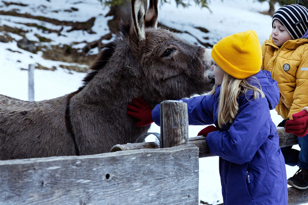 Der Minizoo im Oberjoch Familux Resprt