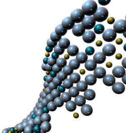 Die DNA - Bauplan des Lebens