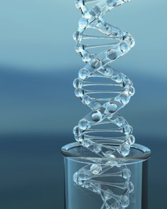 DNA Modell DNA Modell