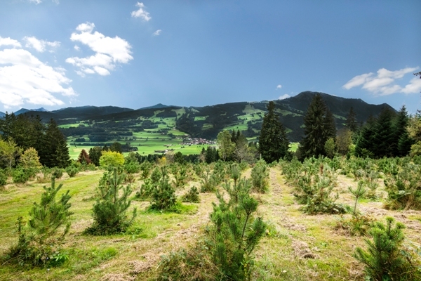 Von meditativer Ruhe bis hin zum sportlichen Effekt  Wandern ist vielfältig und liegt voll im Trend für jedes Alter