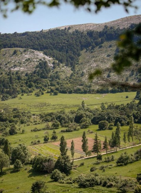 Das Chanel Freilandlabor im Süden Frankreichs Das Chanel Freilandlabor im Süden Frankreichs