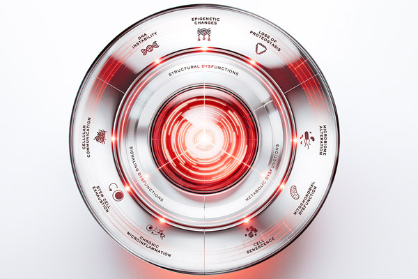 Das Longevitiy Wheel macht die verschiedenen Stadien der Hautalterung sichtbar