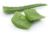 Aloe Aloe