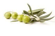 Olive Olive