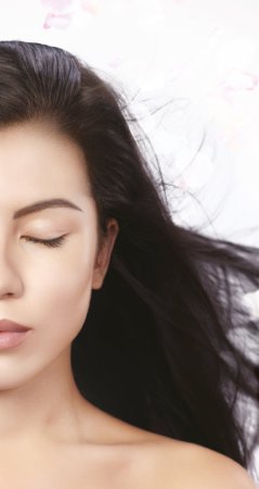 Shiseido Ibuki Shiseido Ibuki