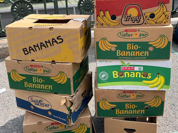 Bananenkisten - Die Basics des Lebens