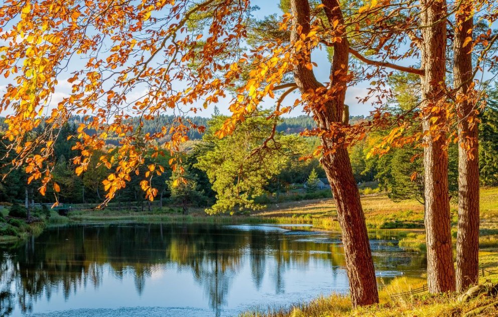 Im Indian Summer zeigt sich der Herbst von seiner farbenprächtigsten Seite Im Indian Summer zeigt sich der Herbst von seiner farbenprächtigsten Seite