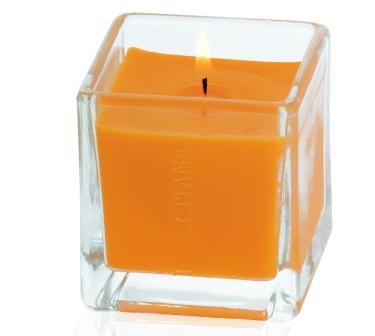 L'Occitane Duftkerze Feu d'Orange L'Occitane Duftkerze Feu d'Orange
