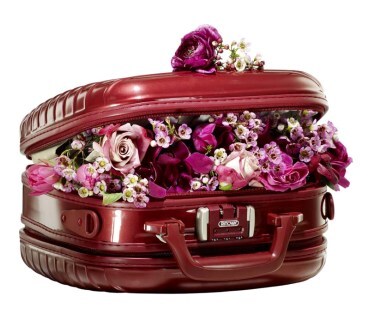 Rimowa Beauty Case Rimowa Beauty Case