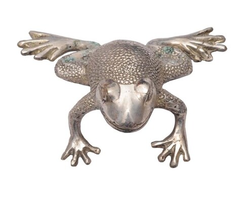 Frosch von Kokon