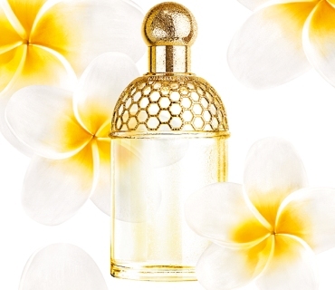 Guerlain Aqua Allegoria Tiare Mimosa Guerlain Aqua Allegoria Tiare Mimosa