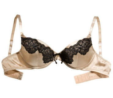 Palmers Selezione Gold Angel