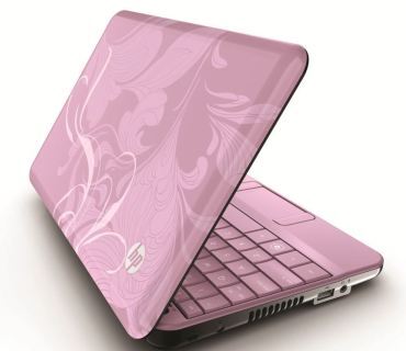 HP Laptop Mini 110