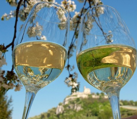Weinviertel Tour
