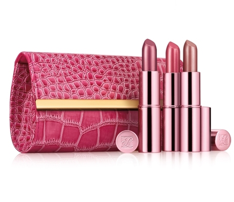 Estee Lauder Pink Ribbon Lippenstift Set
