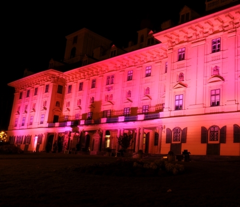 Pink Illumination Schloss Esterhazy Eisenstadt